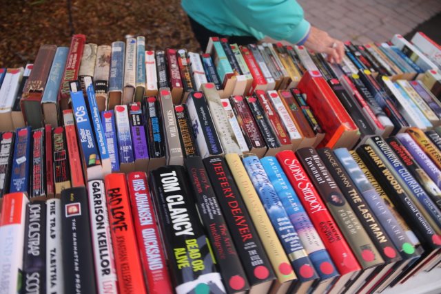 Gulf to Bay Carnival - January 2017 - Slide 7