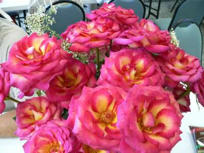 Georgette's Birthday Party<br>
Photos by Nora Szabo - Slide 36