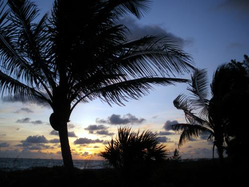 Gulf To Bay Dinners - Slide 26