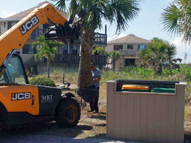 New Trees at Gulf to Bay<br> Photo by Don Pease -  Slide  4